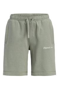 Jack and Jones boys JPSTKARL NORREBRO SWEAT SHORTS JNR seagrass