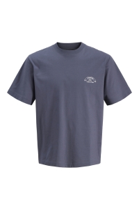 Jack and Jones boys JORMONTAUK PHOTO BACK TEE SS CN JNR odyssey gray