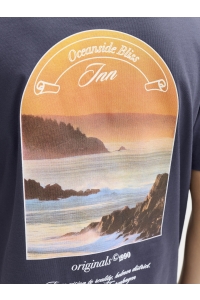 Jack and Jones boys JORMONTAUK PHOTO BACK TEE SS CN JNR odyssey gray