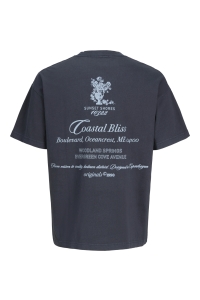 Jack and Jones boys JORMAINE WASHED BACK TEE SS CN JNR odyssey gray