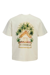 JACK&JONES ORIGINALS JORBEACHCLUB SS C.N STYD SS25 egret