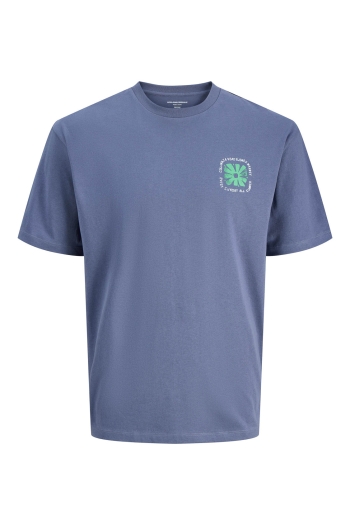 Jack and Jones boys JORFLOWER MARKET TEE SS STYD SS25 J: