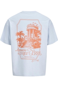 Jack and Jones JORCOTEDAZUR LABEL BACK TEE SS CN cashmere blue