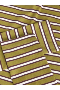 Jack and Jones JXSOPHIA BOXY LS STRIPE TEE JRS SN green moss/vanilla ice / winetas