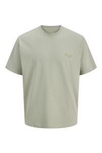 Jack and Jones JORSANREMO BACK TEE SS CREW NECK SN seagrass
