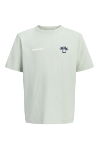 Jack and Jones boys JCOCLUB BACK IMAGERY TEE SS CN JNR aqua gray