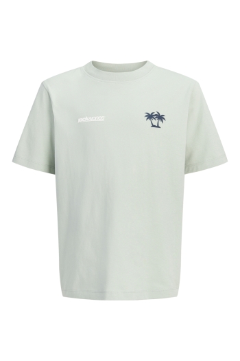 Jack and Jones boys JCOCLUB BACK IMAGERY TEE SS CN JNR