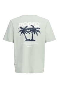 Jack and Jones boys JCOCLUB BACK IMAGERY TEE SS CN JNR aqua gray