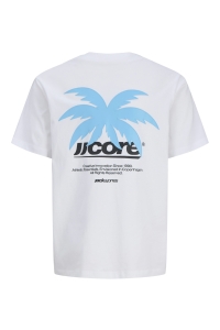 Jack and Jones boys JCOCLUB BACK IMAGERY TEE SS CN JNR bright white