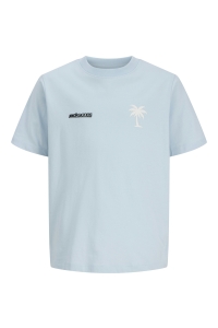 Jack and Jones boys JCOCLUB BACK IMAGERY TEE SS CN JNR omphalodes