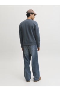 Jack and Jones JJCLEVELAND SWEAT CREW NECK LN turbulence
