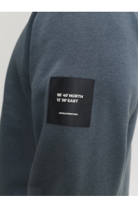 Jack and Jones JJCLEVELAND SWEAT CREW NECK LN turbulence