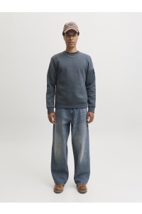 Jack and Jones JJCLEVELAND SWEAT CREW NECK LN turbulence