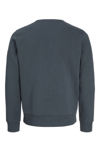 Jack and Jones JJCLEVELAND SWEAT CREW NECK LN turbulence