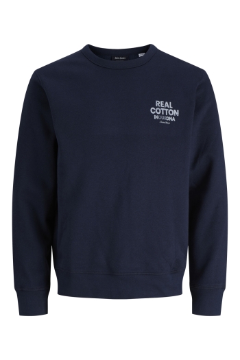  JJEDOVER GRAPHIC SWEAT CREW SN