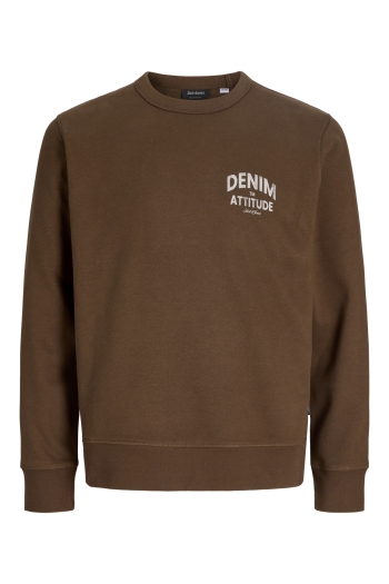  JJEDOVER GRAPHIC SWEAT CREW SN