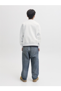 Jack and Jones boys JJECOLTON SWEAT CREW NECK SN JNR white melange