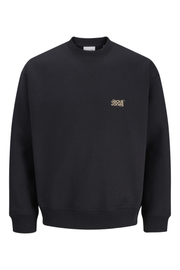 Jack and Jones boys JJECOLTON SWEAT CREW NECK SN JNR