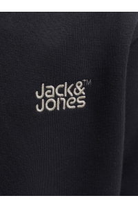 Jack and Jones boys JJECOLTON SWEAT CREW NECK SN JNR black