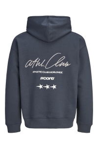 Jack and Jones JCOCLUB BACK SCRIPT PRINT SWEAT HOO: outer space