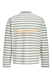 Jack and Jones boys JORNORREBRO STRIPE TEE LS CREW NECK: laurel wreath
