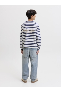 Jack and Jones boys JORNORREBRO STRIPE TEE LS CREW NECK: crown blue