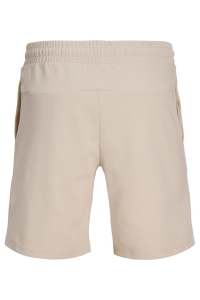 Jack and Jones JPSTGORDON CAMP SHORTS REG moonbeam/set with top