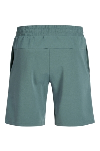 Jack and Jones JPSTGORDON CAMP SHORTS REG north atlantic/set with top