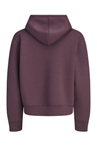 Jack and Jones JCOLEGACY SWEAT SCUBA ZIP HOOD NOOS fudge