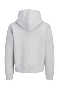 Jack and Jones JCOLEGACY SWEAT SCUBA ZIP HOOD NOOS light grey melange