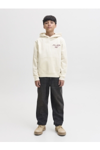 Jack and Jones boys JORCHAMBERI TYPO SWEAT HOOD JNR antique white