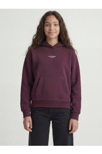 Jack and Jones JXSTUDIO VESTERBRO HOOD SWT NOOS GR: winetasting/bright white jjxx lo