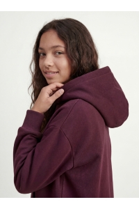 Jack and Jones JXSTUDIO VESTERBRO HOOD SWT NOOS GR: winetasting/bright white jjxx lo