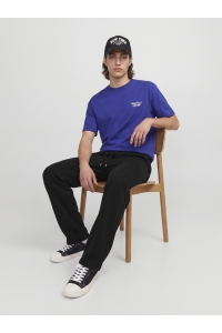 Jack and Jones JPSTBILL LEGACY SCUBA UNC SWT PANTS: black