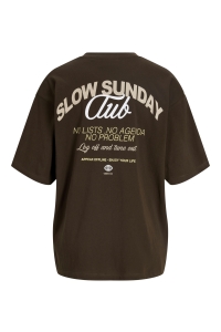 Jack and Jones JXMILLOW LOOSE SS TEE JRS STYDSS26 demitasse/slow sunday