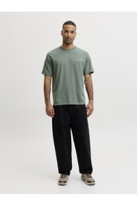Jack and Jones JCOABSTRACT FLOWER BACK PRINT TEE S: laurel wreath