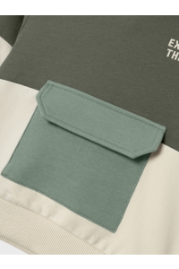 NAME IT MINI NMMOALLER NREG SWEAT WH BRU tea leaf