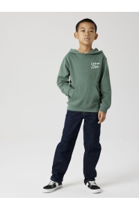 NAME IT KIDS NKMREMMOS LS NREG SWEAT WH BRU dark forest