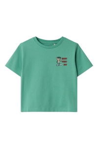 NAME IT MINI NMMDAVID NREG SS TOP BOX creme de menthe