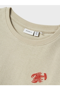 NAME IT KIDS NKMFAMT SS NREG HEAVY TOP peyote