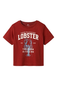 NAME IT MINI NMMFABI NREG SS TOP red ochre