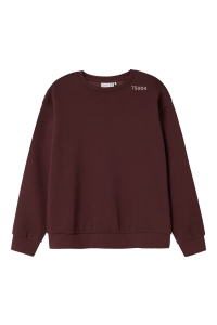 NAME IT KIDS NKFODIKA LS RLX SWEAT BRU BF sassafras