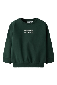 NAME IT MINI NMMSLADE LS NREG SWEAT BRU pine grove