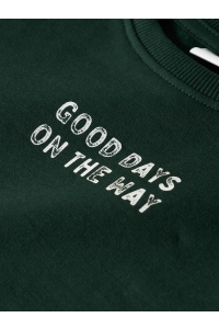 NAME IT MINI NMMSLADE LS NREG SWEAT BRU pine grove