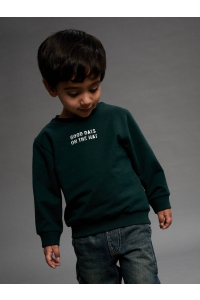 NAME IT MINI NMMSLADE LS NREG SWEAT BRU pine grove