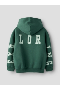 NAME IT KIDS NKMLIAM LS RLX SWE WH BRU garden topiary