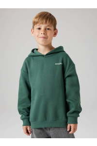 NAME IT KIDS NKMLIAM LS RLX SWE WH BRU garden topiary