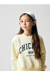 Name It NKFFABIA LS NREG SWEAT BRU pear sorbet