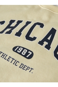 Name It NKFFABIA LS NREG SWEAT BRU pear sorbet