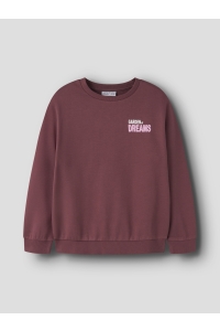 Name It NKFOMONO LS NREG SWEAT BRU BOX wild ginger